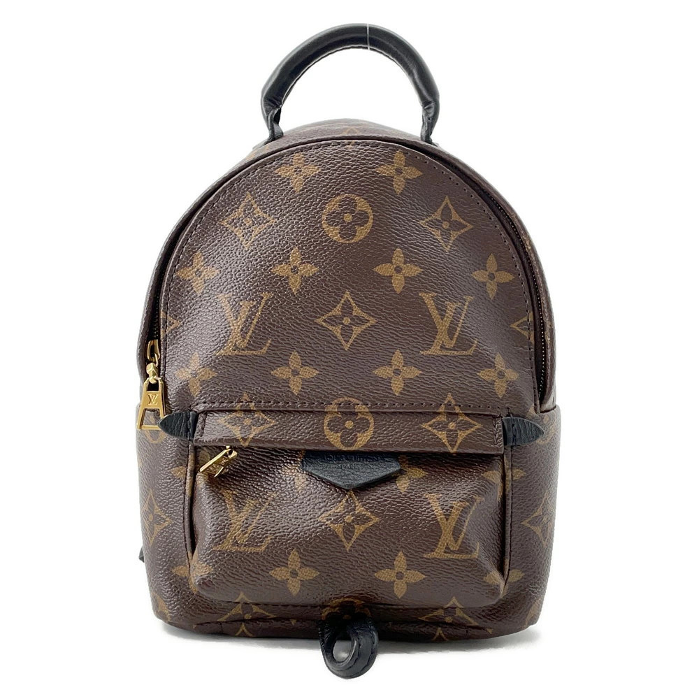 Louis Vuitton Monogram Palm Springs Backpack Bag